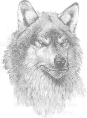 Nanny Ogg's Cookbook-76.jpg